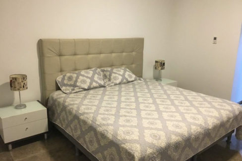 PHOTO-2020-09-01-18-10-47 5